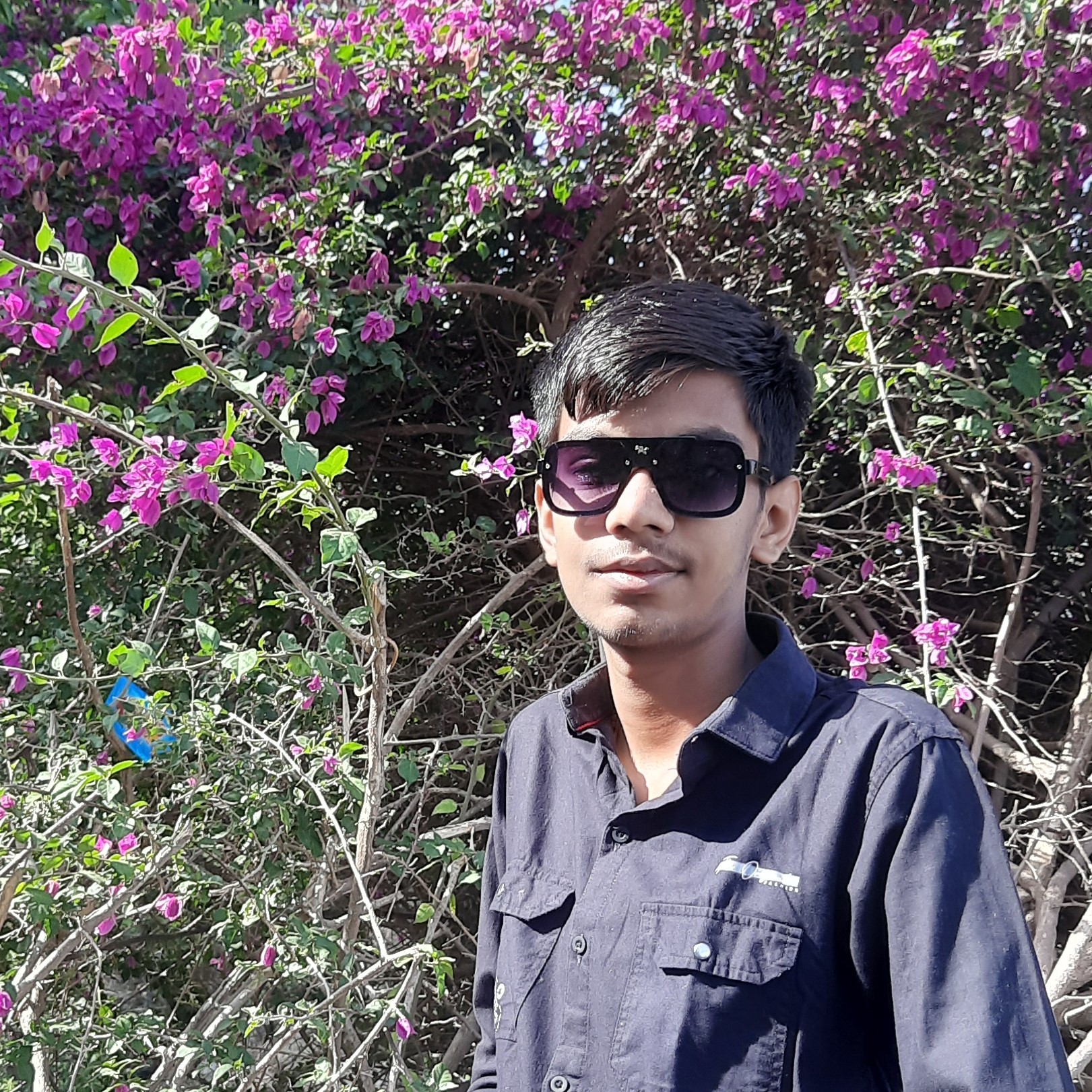 Designer image